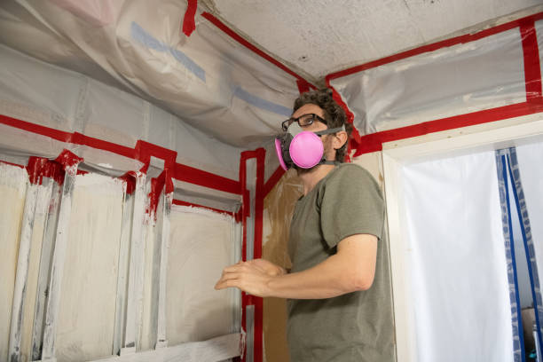 Professional Mold Removal in Ault, CO